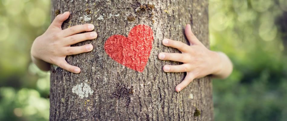 نیکان ماموت: خیریهای برای ساختن آیندهای بهتر برای نیازمندان 2 nikan charity 04